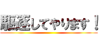 駆逐してやります！ ()