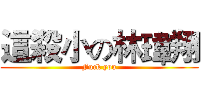 這殺小の林瑋翔 (Fuck you)