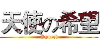 天使の希望 (Expect)