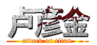 卢彦金 (attack on titan)