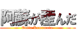 阿蘇が産んだ (Ooita Kumamoto )