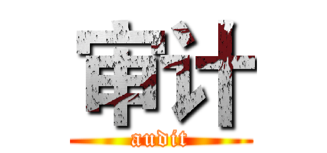 审计 (audit)