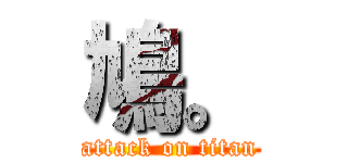 鳩。 (attack on titan)