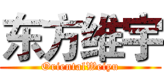 东方维宇 (OrientalWeiyu)