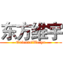 东方维宇 (OrientalWeiyu)