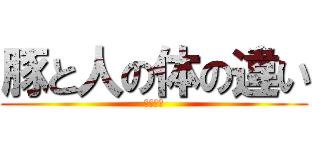 豚と人の体の違い (レポート)