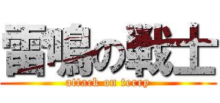 雷鳴の戦士 (attack on terry)