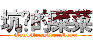 坑爹的菜菜 (MumuMumuMumuMumu)