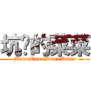 坑爹的菜菜 (MumuMumuMumuMumu)