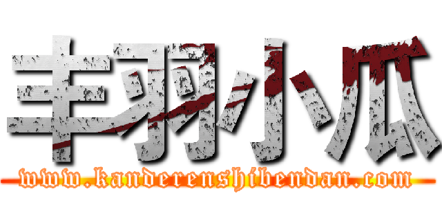 丰羽小瓜 (www.kanderenshibendan.com)