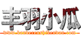 丰羽小瓜 (www.kanderenshibendan.com)