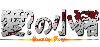 愛你の小豬 (Pretty Boy)