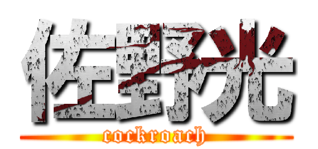 佐野光 (cockroach)