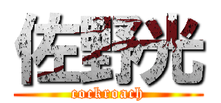 佐野光 (cockroach)