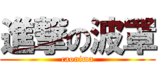 進撃の波罩 (caonima)