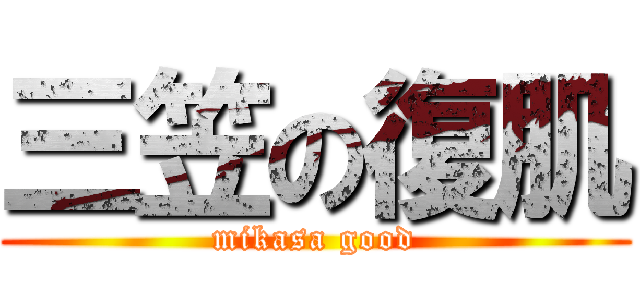 三笠の復肌 (mikasa good)