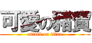 可愛の豬寶 (attack on titan)