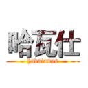 哈瓦仕 (havaianas)