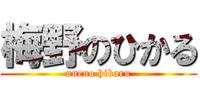 梅野のひかる (uneno hikaru)