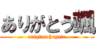 ありがとう颯 (arigtou hayate)