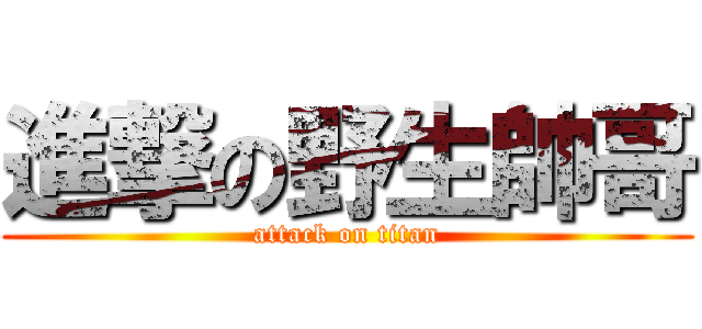 進撃の野生帥哥 (attack on titan)