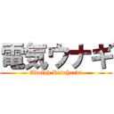 電気ウナギ (Adolph Reinhardt)