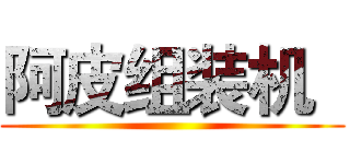 阿皮组装机   ()