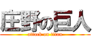 庄野の巨人 (attack on titan)