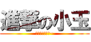 進撃の小玉 (死阿宅!威克喔~)