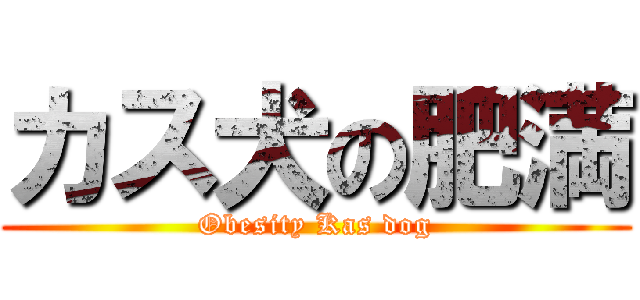 カス犬の肥満 (Obesity Kas dog)