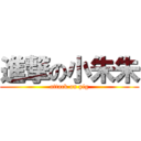 進撃の小朱朱 (attack on pig)