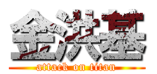 金洪基 (attack on titan)