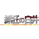  抓狂の白井 (crazy on drawing)