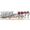 進撃の林葳玟 (attack on Lin,Wei-Wen)