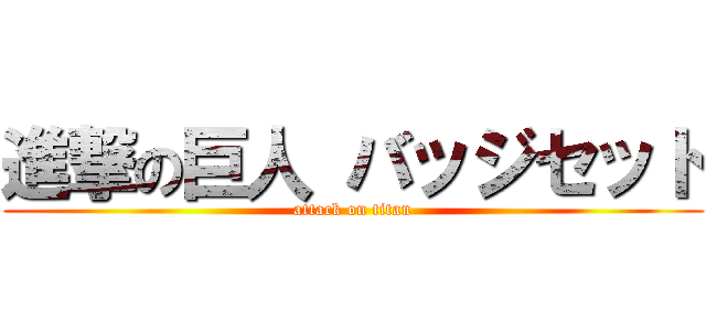 進撃の巨人 バッジセット (attack on titan)