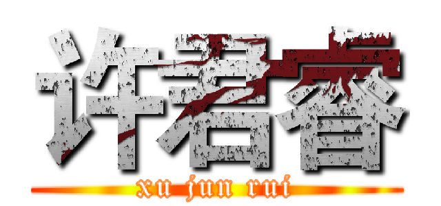 许君睿 (xu jun rui)