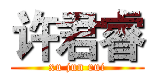 许君睿 (xu jun rui)