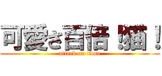 可愛さ百倍！猫！ (attack on titan)