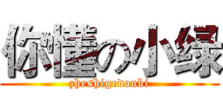 你懂の小绿 (zheshigedoubi)