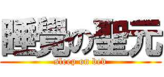 睡覺の聖元 (sleep on bed)