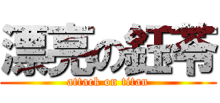 漂亮の鈺苓 (attack on titan)