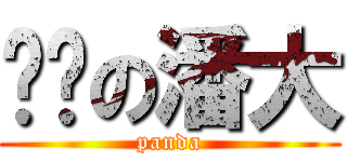 进击の潘大 (panda)