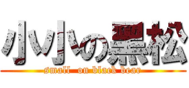 小小の黑松 (small  on black bear)