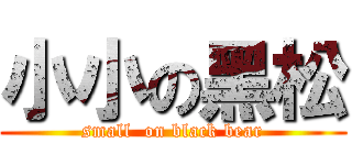 小小の黑松 (small  on black bear)