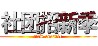 社团招新季 (new recruit)