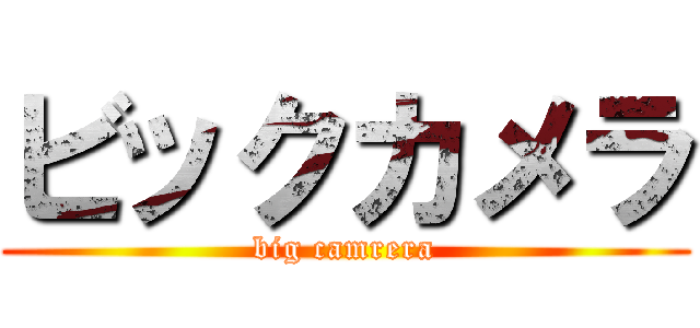 ビックカメラ (big camrera)
