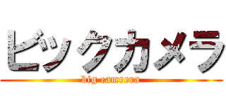 ビックカメラ (big camrera)