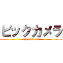 ビックカメラ (big camrera)