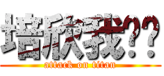 培欣我爱你 (attack on titan)