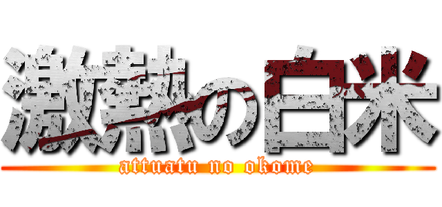 激熱の白米 (attuatu no okome)